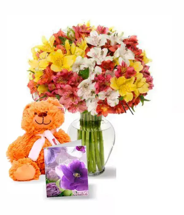 Blooms of Peruvian Lilies Set