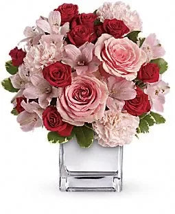 "Evergreen Comfort | Boxed Flowers Aussie Blooms"