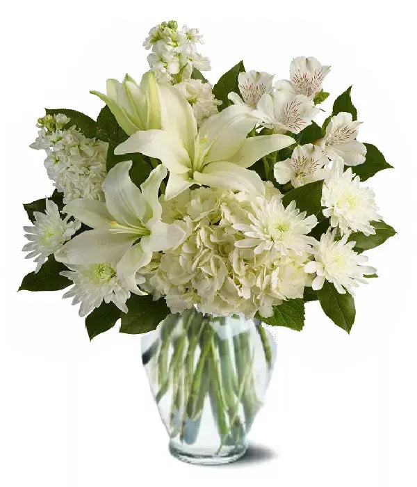 "Polished Gleam | Boxed Flowers Aussie Blooms"