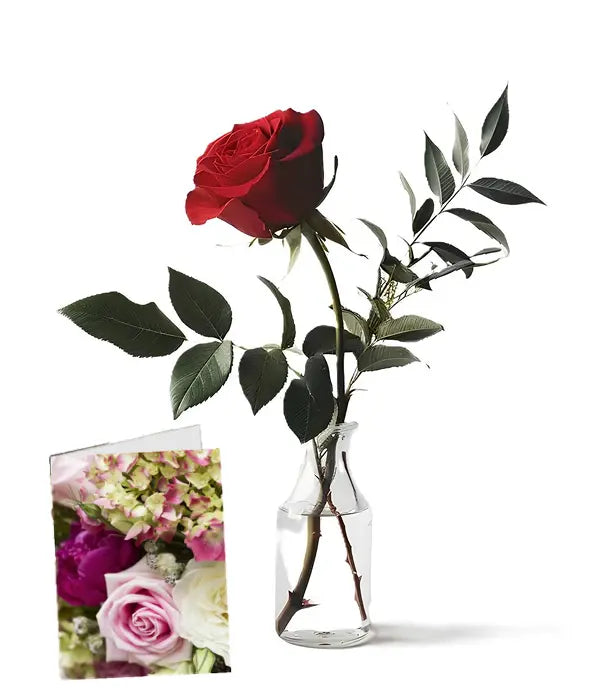 "Sapphire Treasure | Boxed Flowers Aussie Blooms"