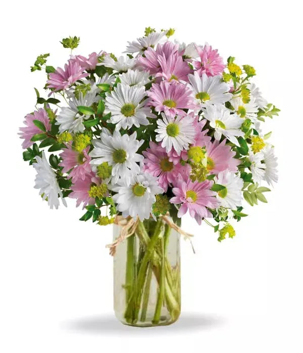 "Zesty Sanctuary | Boxed Flowers Aussie Blooms"
