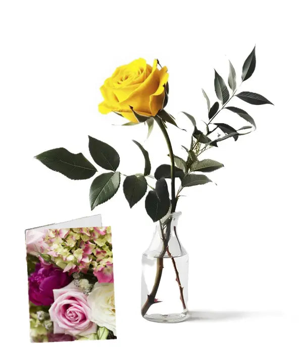 "Wild Serenity | Bouquet Aussie Blooms"