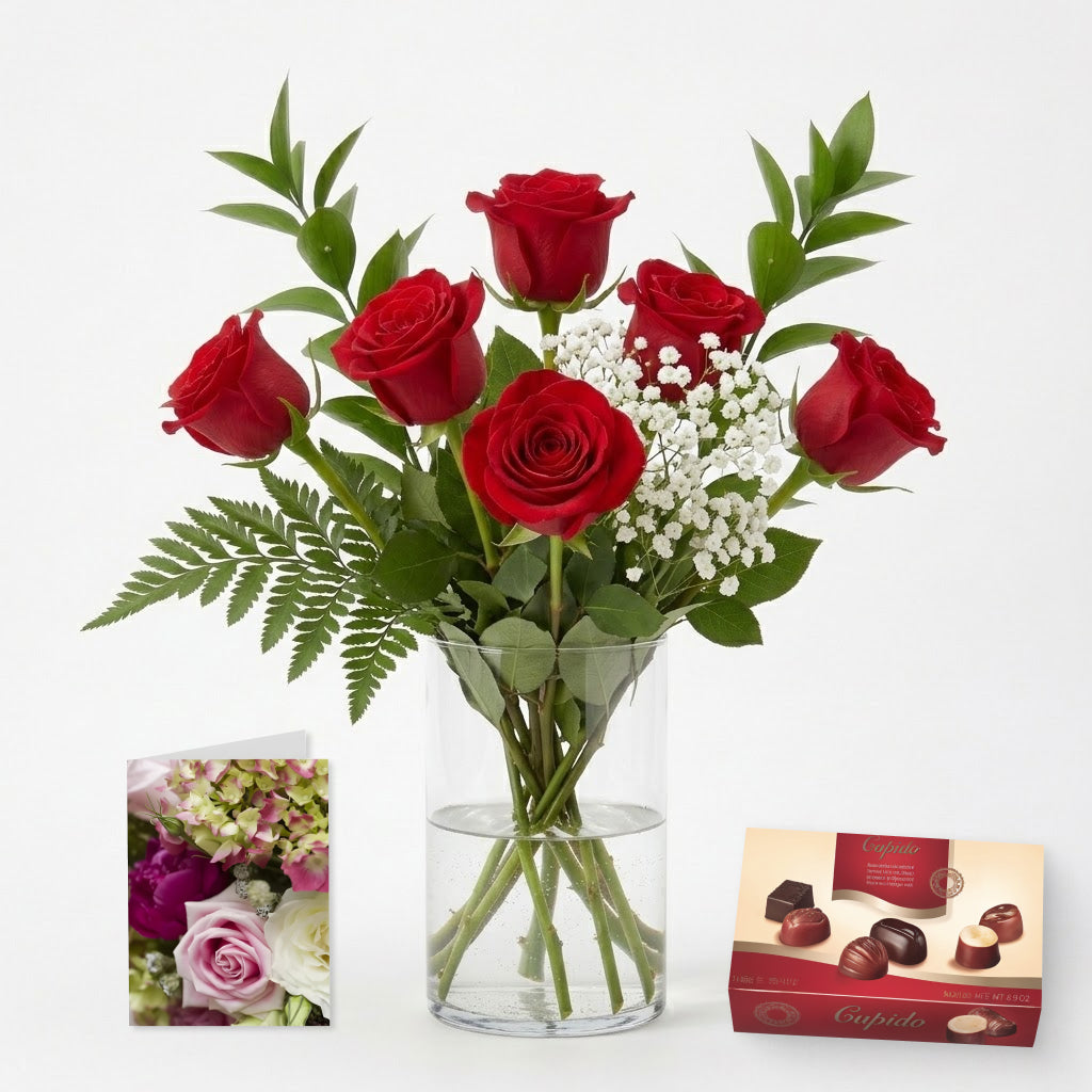 Half Dozen Red Roses, Card & Chocolates Gift