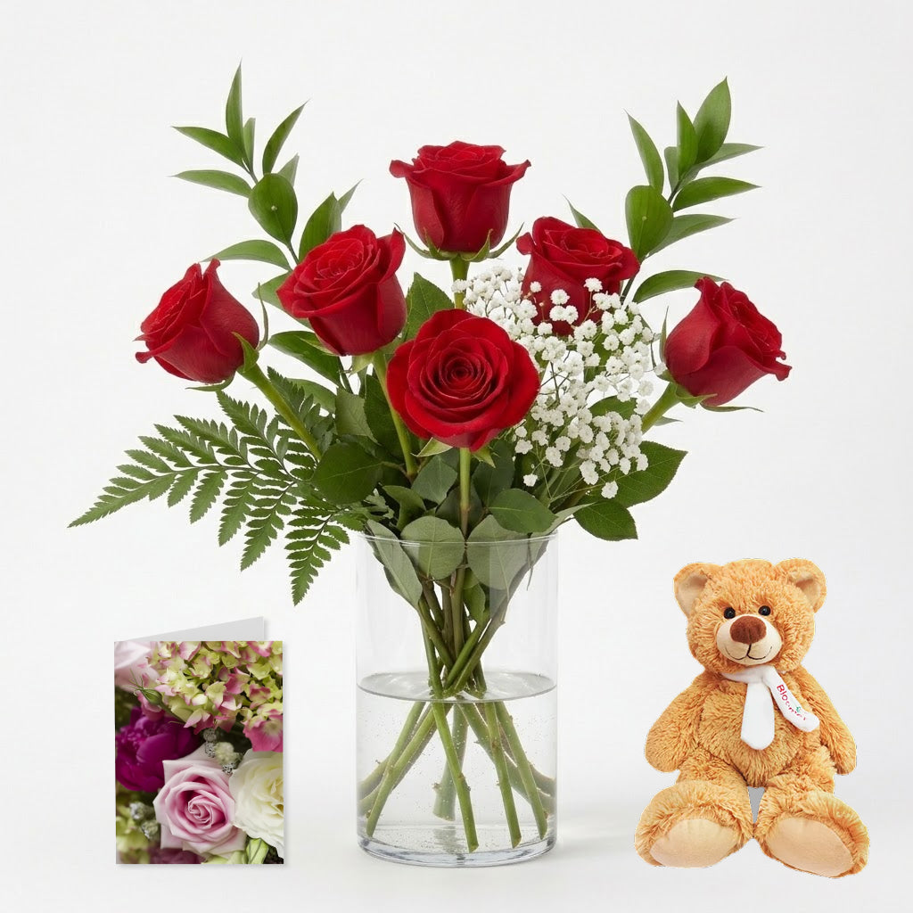 Half Dozen Red Roses, Card & Teddy