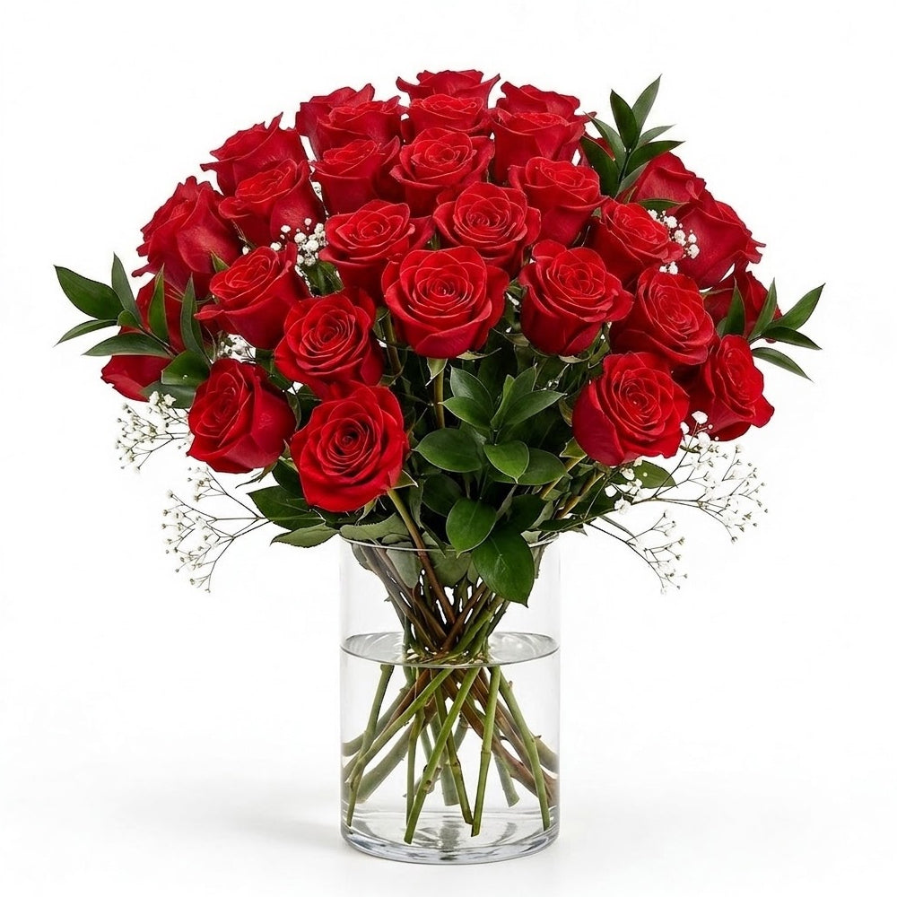 Premium Red Roses
