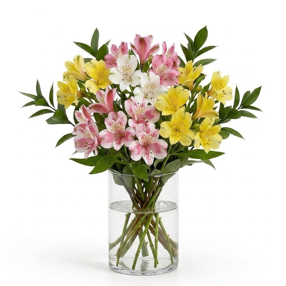 Yellow Alstromeria