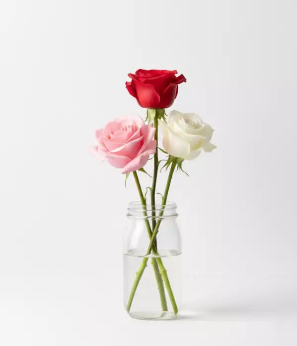 Assorted Roses in Mason Jar