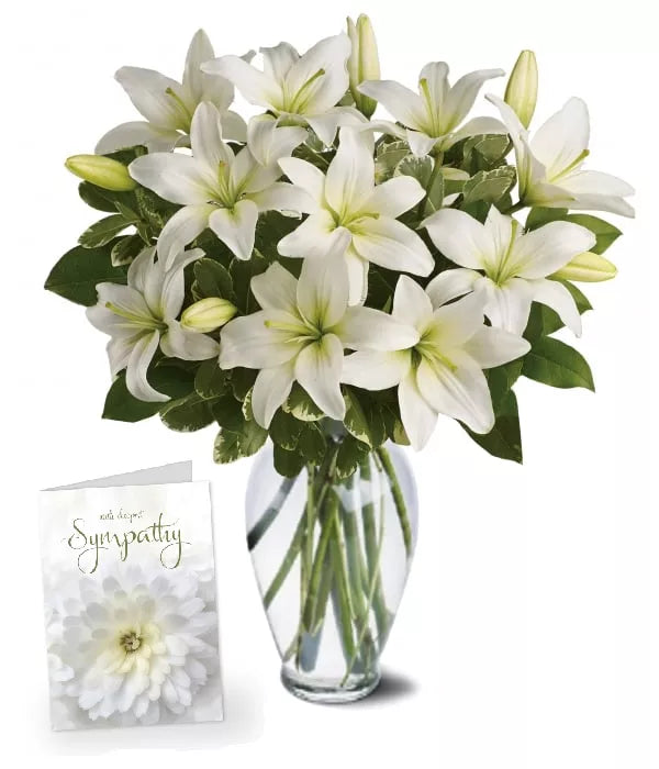 Heavenly Lilies