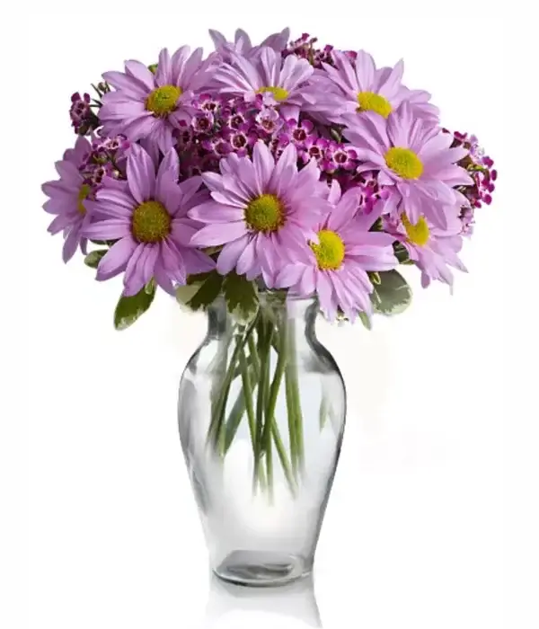 Easter Gerberas