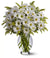 Easter Gerberas