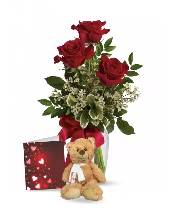 Red Rose Trio, Card &amp; Teddy