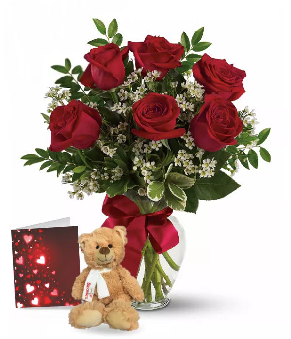 6 Red Roses, Vase &amp; Teddy