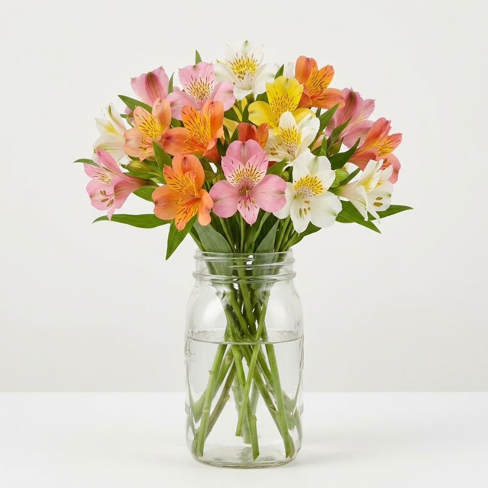Thirty Blooms of Alstroemeria in Mason Jar