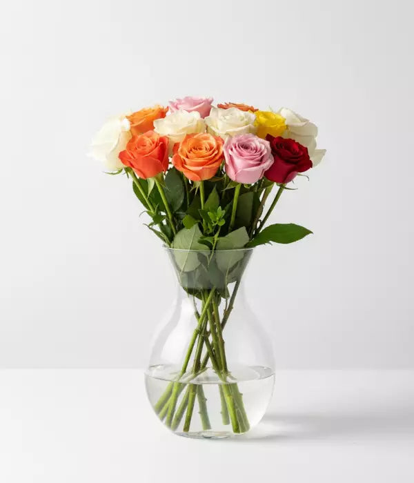 Dozen Long Stemmed Assorted Roses