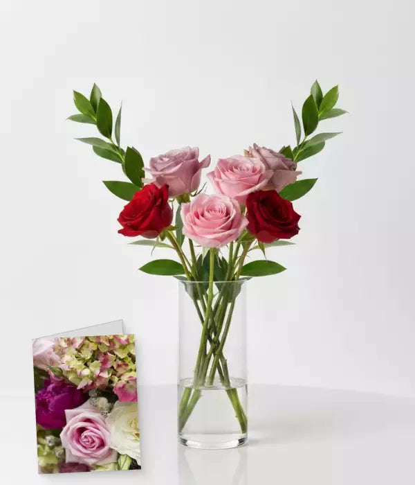 Half Dozen Long Stem Assorted Roses