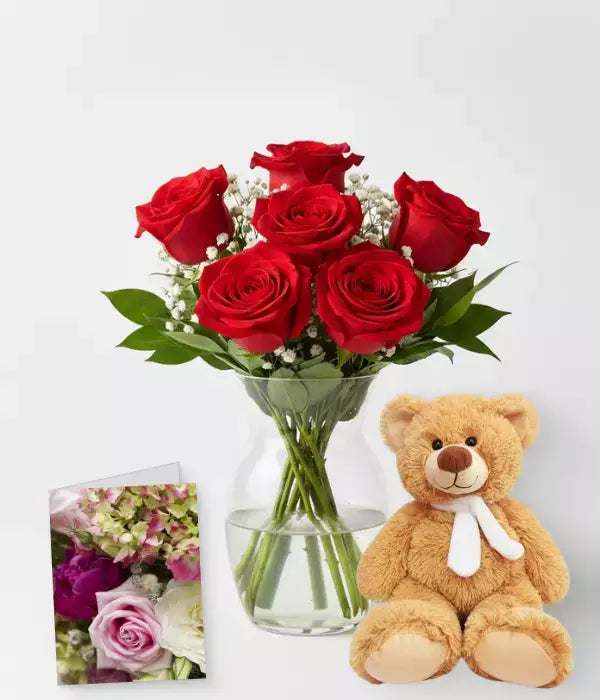 Half Dozen Red Roses, Card & Teddy