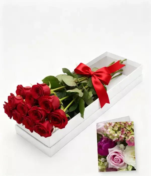A Dozen Roses Box One Dozen Boxed Red Roses | Aussie Blooms