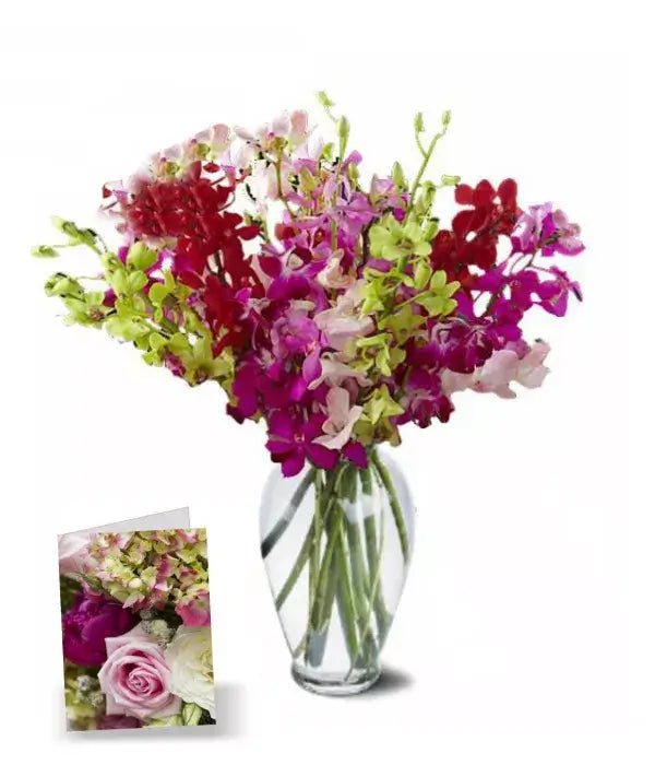 Blooms of Orchids I