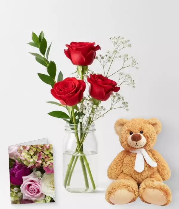 Red Rose Trio, Card & Teddy