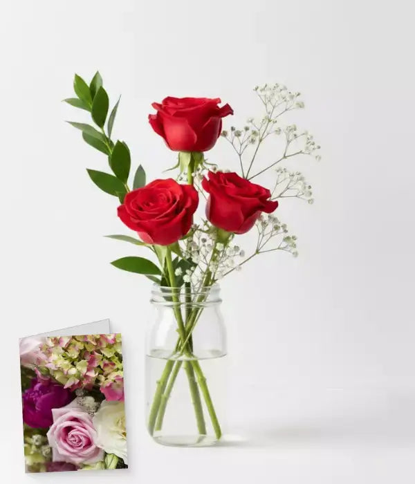 Rose & Card Special
