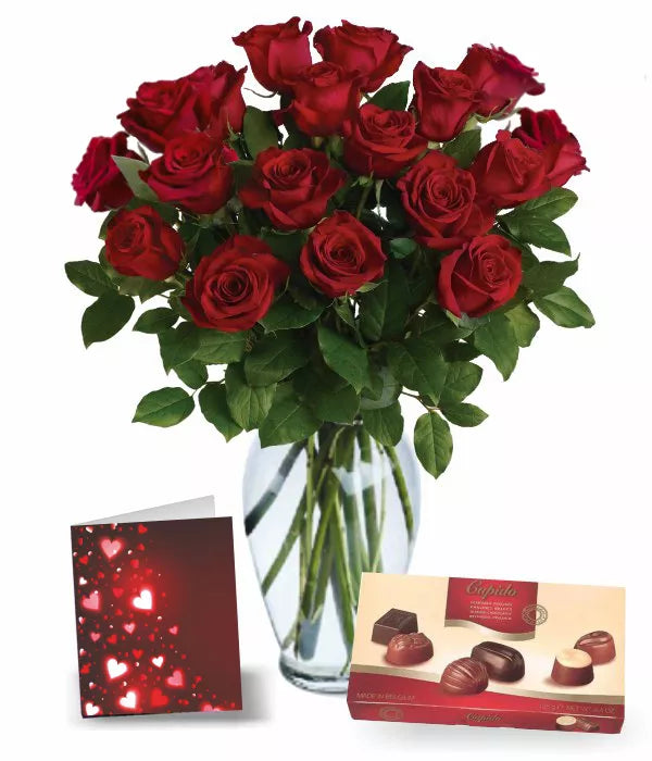 18 Sweetheart Roses I