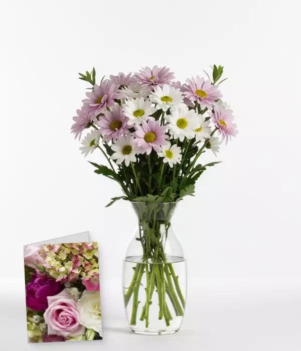 Sweet Blossoms Collection II