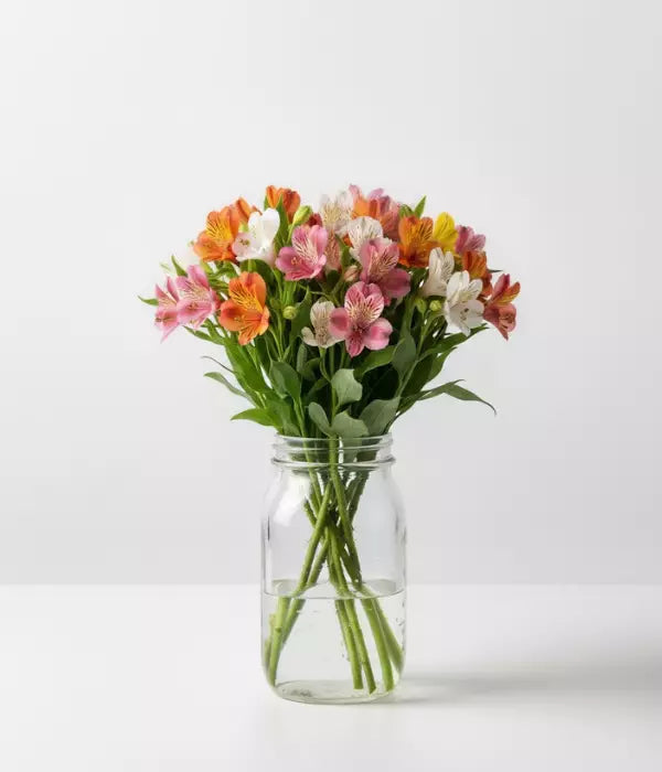 Thirty Blooms of Alstroemeria in Mason Jar
